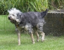 ZAugust-03-2007-0052.jpg