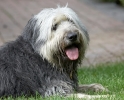 ZAugust-03-2007-0057.jpg