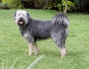 ZAugust-03-2007-0059.jpg