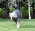 ZAugust-03-2007-0062.jpg