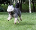 ZAugust-03-2007-0063-1.jpg