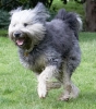 ZAugust-03-2007-0064.jpg