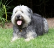 ZAugust-03-2007-0085.jpg
