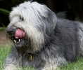ZAugust-03-2007-0113.jpg