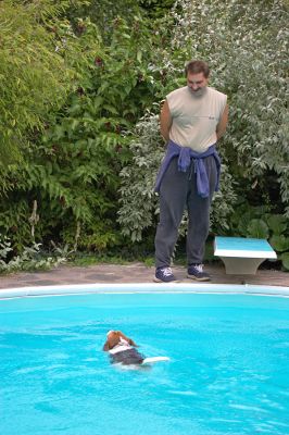 Zbigniew keeps an eye on me but I'm so grown up now
Schlüsselwörter: Hattie Beagle It's Me or the Dog Zbigniew