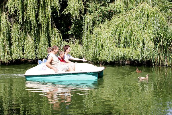 Chasing the Ducks
The ducks can paddle much, much faster than our little electric paddle boat.
Keywords: ducks paddle boat Whitecroft pond lake summer