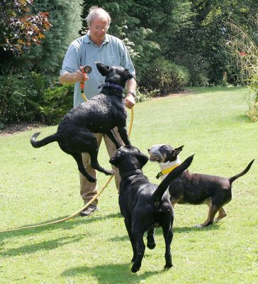 Harvey, Buddy, Tapa -- And Vic
Playing with the garden hose on a hot summer afternoon.
Anahtar kelimeler: Vic Tapa Harvey Buddy Black Labrador dog hotel dog boarding dog kennel Lucies Farm