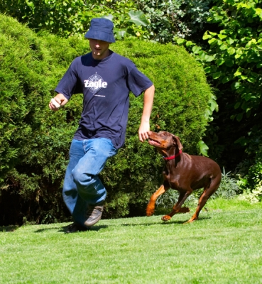 And I'm closing the gap
Λέξεις-κλειδιά: Doberman Pinscher Dog Dogs Grzegorz Jess Toby