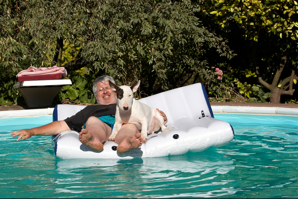 Oo-er ..........
Keywords: Canines Play Playing Playtime Pool Swimming Swimming pool Terrestrial Mammal Terrestrial Mammals Animal Animals Bullies Bully Canine Terriers Craig Dog Dogs English Bull Terrier Land Mammal Land Mammals mana