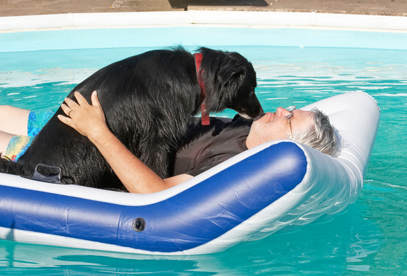 Can I go now??
Palabras clave: Animal Animals Barney Canine Canines Collie Collies Craig Dog Dogs Land Mammal Land Mammals Play Playing playtime Pool Swimming Swimming pool Terrestrial Mammal Terrestrial Mammals