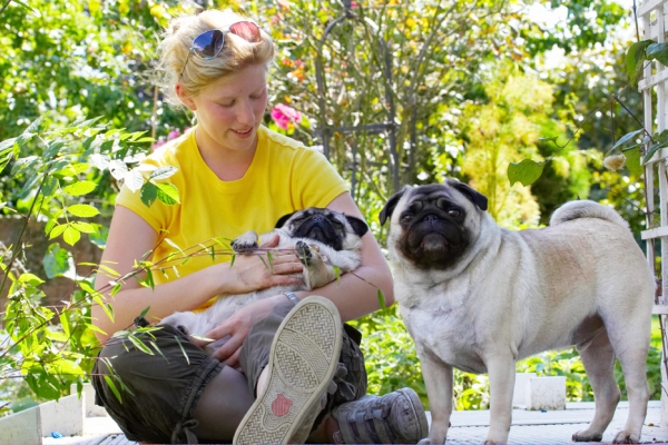 Hey, how come I don't get a cuddle?!.....
Ключевые слова: Bruno Dog Dogs Laura Loui Pug Pugs