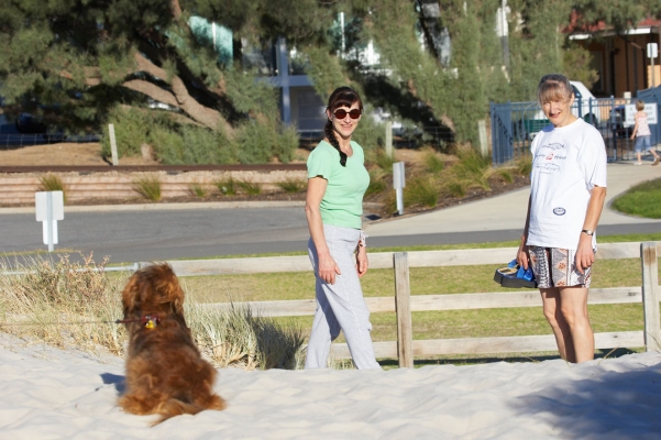I ran all this way and now you guys are just hanging about
Keywords: Adelaide Australia Beach Bonnie Cathy Daschund Daschunds Dog Dogs Marjorie Sand Smile Smiles Smiling South