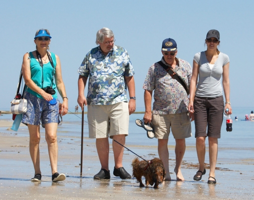 .......... cos this is MY beach .....
Schlüsselwörter: Adelaide Australia Beach Bonnie Cathy Chase Craig Daschund Daschunds Dog Dogs John Sand Sea South