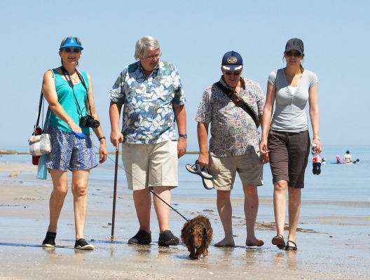 ........ and I can come here any time I like - well if Mummy brings me
Ключові слова: Adelaide Australia Beach Bonnie Cathy Chase Craig Daschund Daschunds Dog Dogs John Sand Sea South