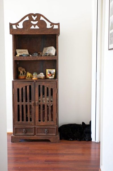 Jus' sleeping my breakfast off
Keywords: Australia Home Kilmore Melbourne Murray Rest Resting Scottie Scottish Terrier Sleep Sleeping Terriers Victoria