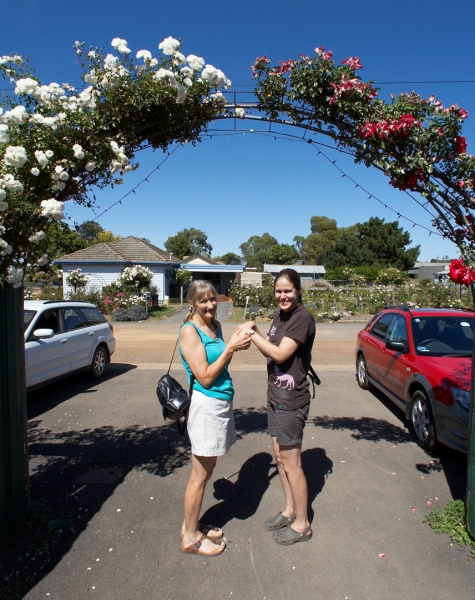 Family bonding
Schlüsselwörter: Australia Blue Cafe Cathy Chase Flower Flowers Garden Melbourne Nursery Rose Roses Skies Sky Tearoom Victoria