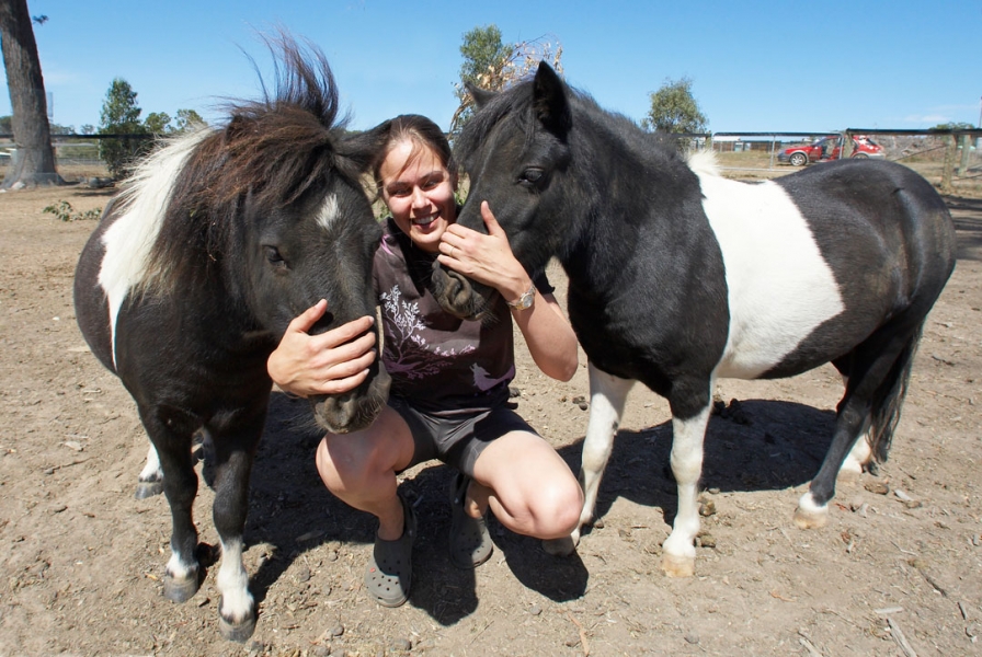 OK, guys, group hug
Keywords: Australia Blue Chase Horse Horses Kevin Melbourne Miniature Nuala Skies Sky Victoria