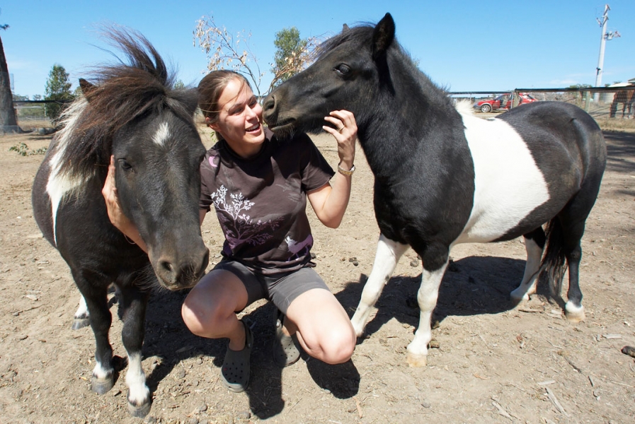 Gissus ...........
Keywords: Australia Blue Chase Horses Kevin Kiss Kisses Melbourne Miniature horse Nuala Skies Sky Smile Smiling Victoria