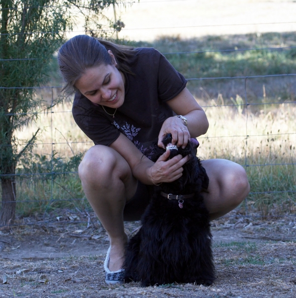 Grrrrrrrrr
Palabras clave: Land Mammals Melbourne Murray Scottie Scottish Teeth Terrestrial Mammal Terrestrial Mammals Terrier Terriers Victoria Animal Animals Australia Canine Canines Chase Dog Dogs Kilmore Land Mammal