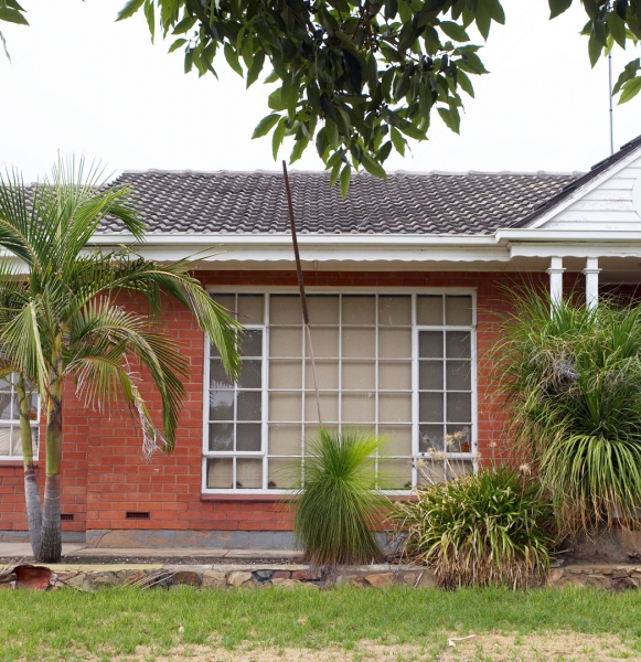 Hey, a black boy
Palabras clave: Adelaide Australia Black Boy Home House Palm Plant South