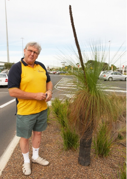 Told you I'd find one for you
Palabras clave: Adelaide Airport Australia Black Boy John Plant South