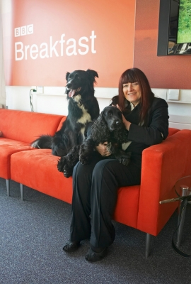 Me too!!
Woody making sure he gets his share of cuddles while we all wait for showtime on the BBC World Service Cooking For Dogs
Keywords: Barney BBC TV studios BBC World Service Border Collie Cocker spaniel Collies Cooking For Dogs Dog Dogs Fay Goodman Recipes Spaniels Tongue Woody