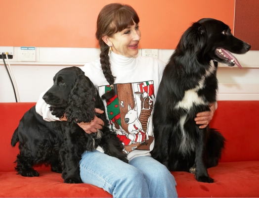 Aw, smile for the camera, Barney
Barney and Woody feigning cool indifference at their upcoming starring roles on the BBC World Service Cooking For Dogs
Keywords: Barney BBC TV studios BBC World Service Border Collie Cocker spaniel Collies Cooking For Dogs Dog Dogs Marjorie Recipes Spaniels Woody