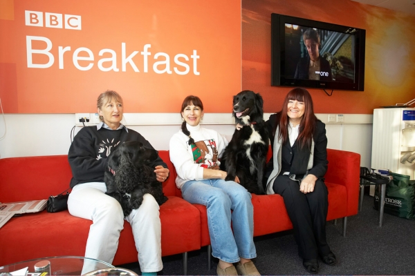 Woody!!
Fay, Cathy, me, Barney and Woody chilling out while we wait for our appearance on live TV for the BBC World Service Cooking for Dogs segment
Schlüsselwörter: Barney BBC TV studios BBC World Service Border Collie Cathy Cocker spaniel Collies Cooking For Dogs Dog Dogs Fay Goodman Marjorie Recipes Spaniels Woody