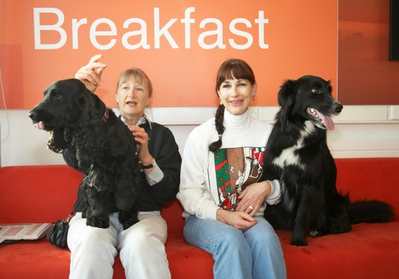 C'mon Woody, smile for the camera
Cathy trying to get Woody to smile for the camera as we wait for our shot at TV stardom on the BBC World Service Cooking for Dogs live segment
Klíčová slova: Barney BBC TV studios BBC World Service Border Collie Cathy Cocker Spaniel Collies Cooking for Dogs Dog Dogs Marjorie Recipes Spaniels Tongue Woody