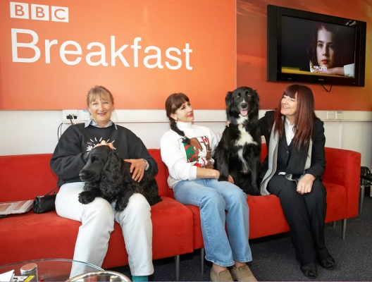 OK, I'm ready for my close-up now
Barney deciding to pose for the camera.  Woody still camera shy as Cathy, Fay and I wait for our time in front of the camera for the BBC World Service Cooking for Dogs live segment
Ключові слова: Barney BBC TV studios BBC World Service Border Collie Cathy Christmas Cocker Spaniel Collies Cooking For Dogs Fay Goodman Marjorie Recipes Spaniels Tongue Woody