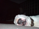 DSC00005.jpg