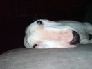 DSC00006.jpg