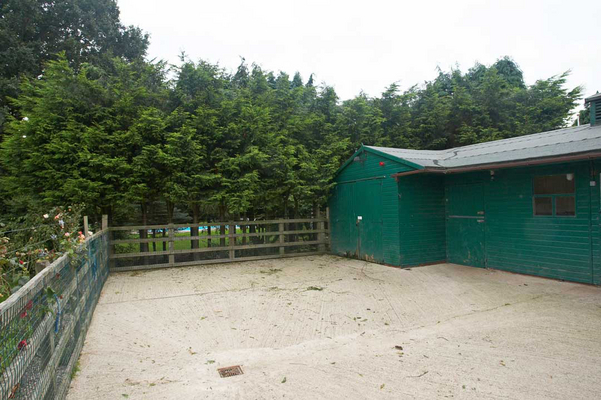 Stable Yard With Newly Topped Hedge
The Leylandii hedge near the southern edge of the stable yard has been trimmed, bringing more light into the area.  Now if only we had some sunshine!
Schlüsselwörter: stable yard leylandii hedge trees Paul Doyle trim cut prune