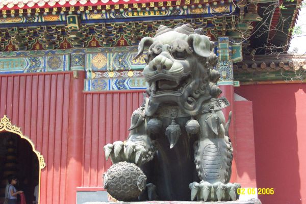 A Lion
A lion at the Lama Temple

