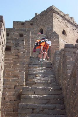 Come and see our [url=http://www.dog-hotel.co.uk]Dog Hotel[/url].
