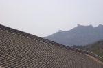 DCP_0891.JPG