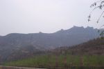 DCP_0894.JPG