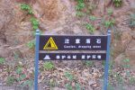DCP_0941.JPG