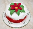 zchristmas-07-0050.jpg