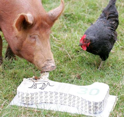 Tamworth Pig & Black Rock Chicken -- Having Cake
The Tamworth pig is joined by the Black Rock chicken to eat some of the unwanted Greyhound birthday cake.
Keywords: Tamworth pig Retired Greyhound Trust dog birthday cake Lucies Farm Black Rock chicken