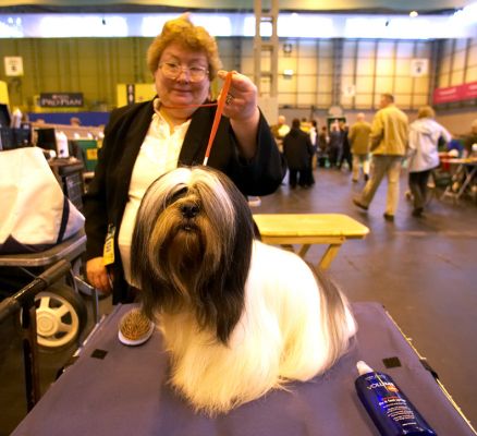 Crufts-06-0027a.jpg