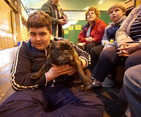 Crufts-06-0058a.jpg