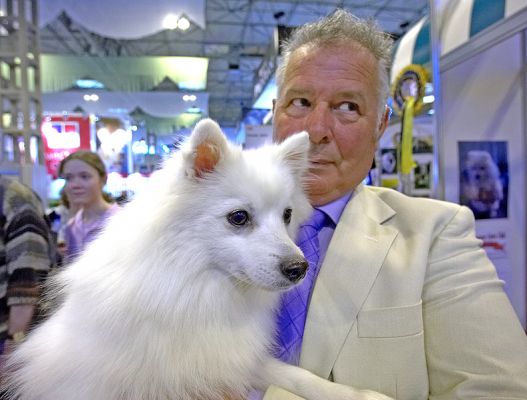 Japanese Spitz
Keywords: Japanese Spitz Crufts white dog