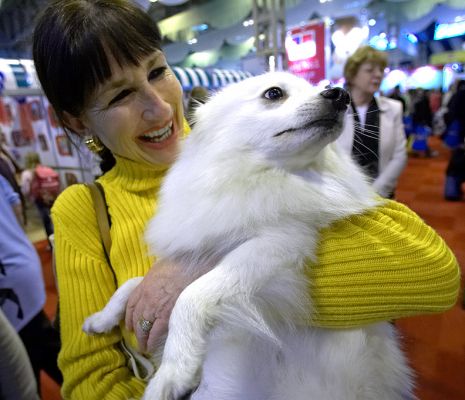 Marjorie Holding A Japanese Spitz
Marjorie hadn't read the hand-out that said "can be slightly chary at first meeting with strangers."  
Ključne besede: Japanese Spitz white dog Marjorie Crufts