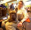 Crufts-06-0047a.jpg