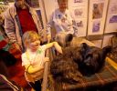Crufts-06-0218a.jpg