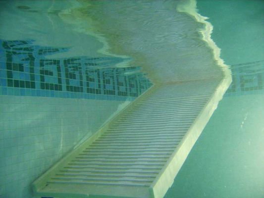 The PetRamp, Viewed from Underwater
The doggies use this non-skid and gently sloping pet ramp to get in and out of the heated indoor pool.
Palabras Clave: PetRamp swimming pool Lucies Farm Ritz Canine swimming dog canine hydrotherapy