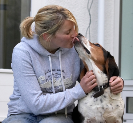 Yep, I got in a big wet kiss
Palabras clave: Bassett hound Dog Dogs Humphrey Kate Kiss Tongue