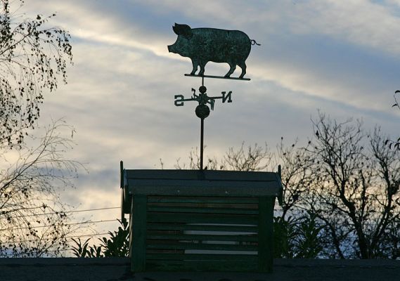 Pig Weather Vane
Our curly-tailed pig weather vane keeps us posted on the wind.
Keywords: pig weather vane stable Lucies Farm