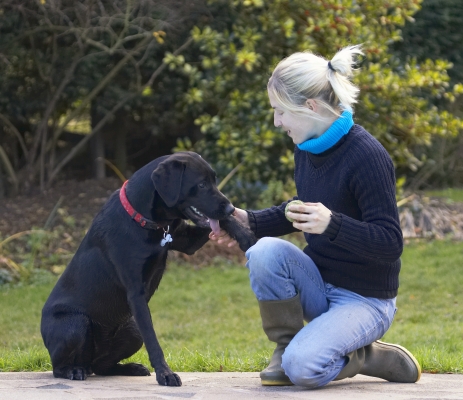 Look, I'm asking nicely
Ključne besede: Blonde Dog Dogs Girl Handler Hanka Labrador Paw Shake Shaking Smile Thelma Woman